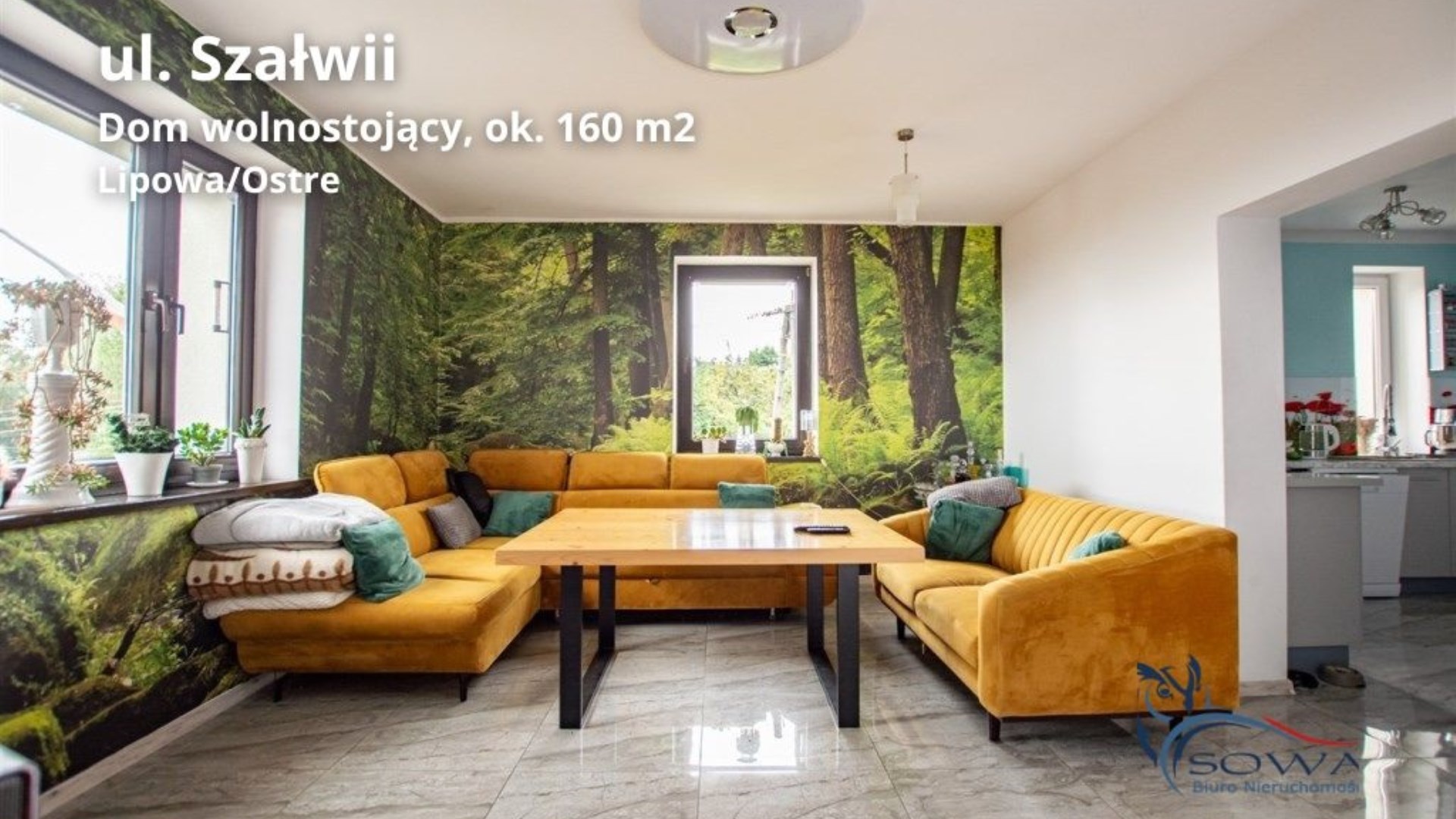 Dom na sprzedaż